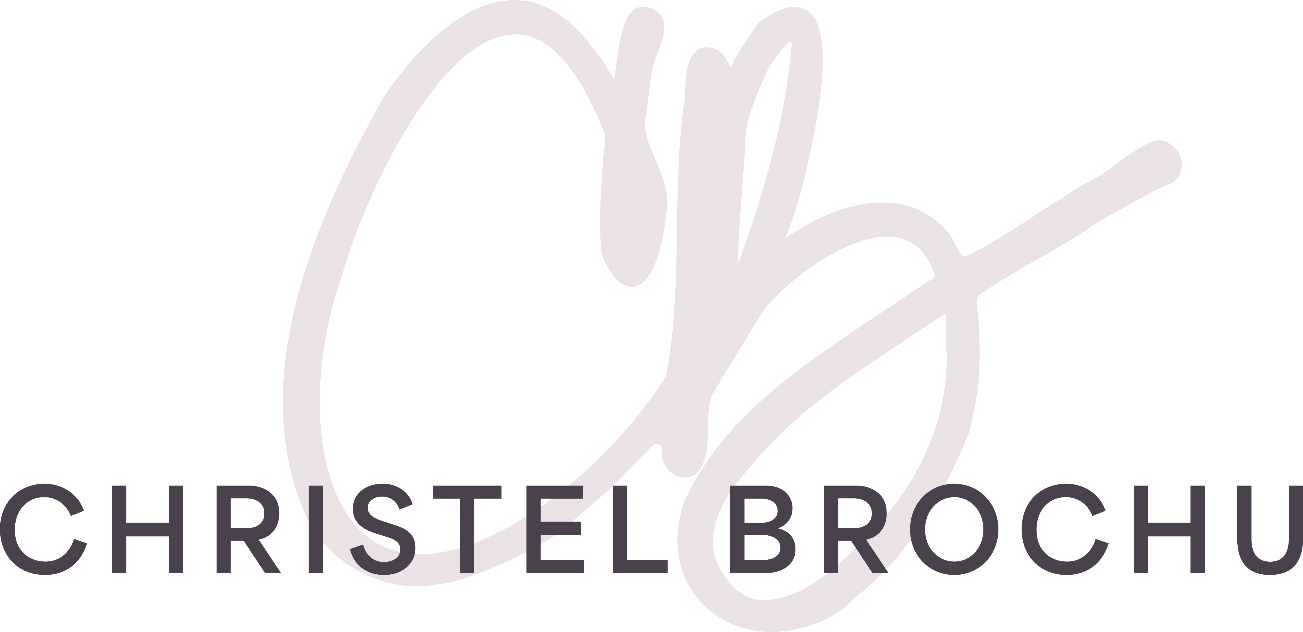 logo de Christel Brochu accompagnement